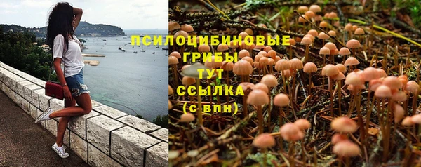 ешки Балахна