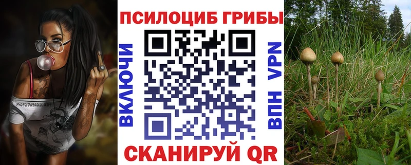 кракен онион  купить закладку  Вилюйск  Псилоцибиновые грибы прущие грибы 